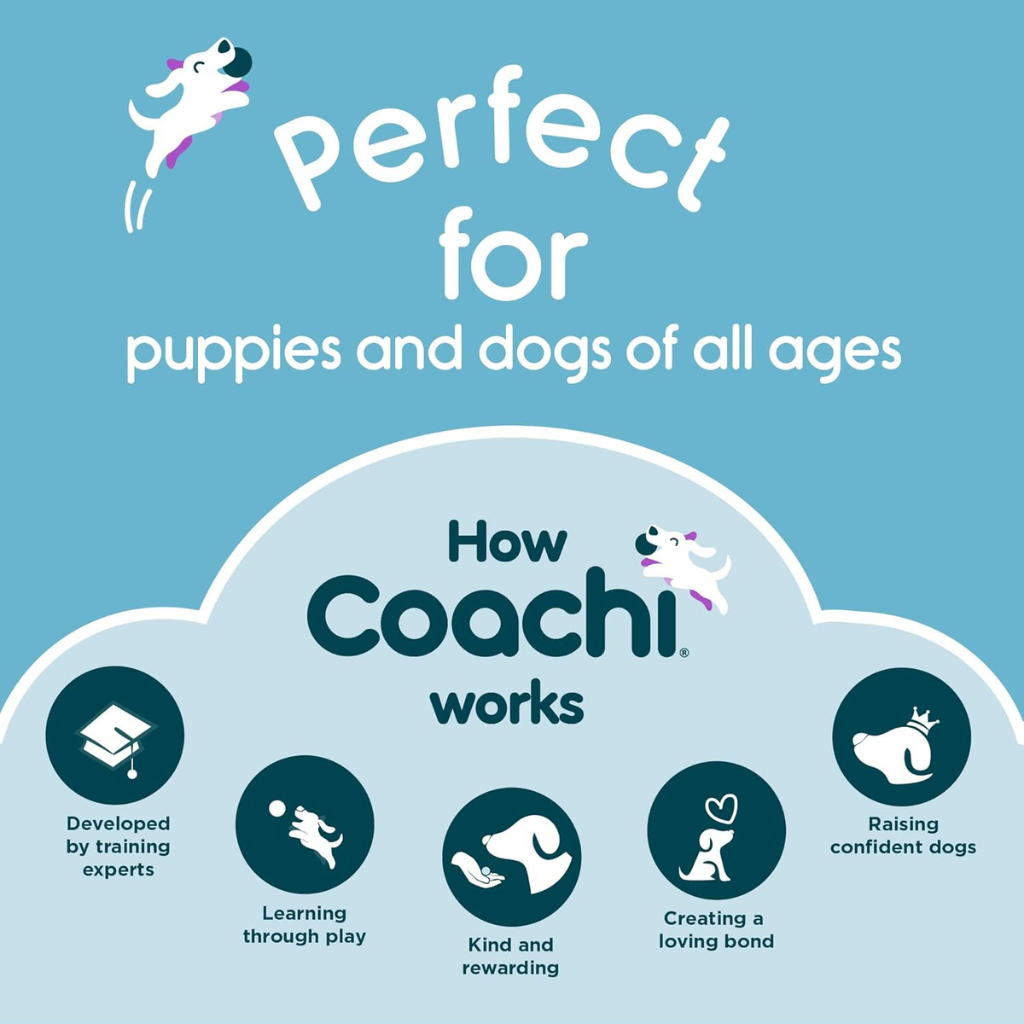 Coachi Tuggi Chase & Treat Dog Toy