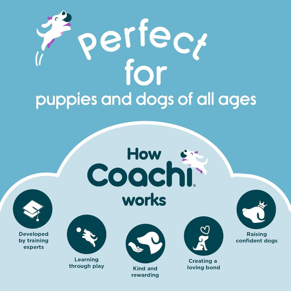Coachi Tuggi Chase & Treat Dog Toy - Dog Toys 6