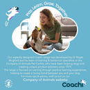 Coachi Tuggi Hide Dog Toy - Dog Toys 7