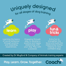 Coachi Tuggi Hide Dog Toy - Dog Toys 5