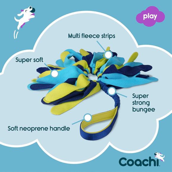 Coachi Tuggi Spider Dog Toy - Dog Toys 4