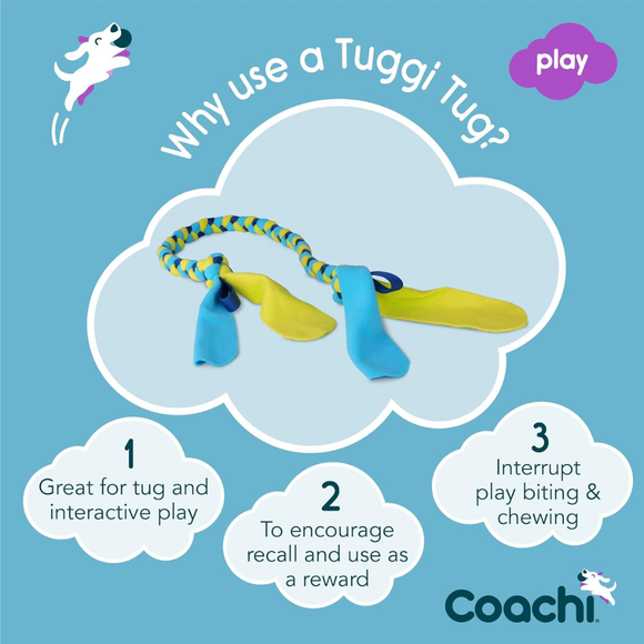 Coachi Tuggi Tug - Dog Toys 2