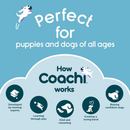 Coachi Tuggi Tug - Dog Toys 6