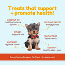 Dog with health benefits listed around it on a light blue background