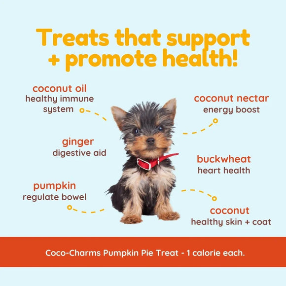 Dog with health benefits listed around it on a light blue background