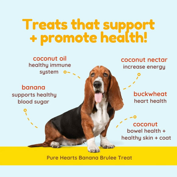 Dog sitting on a yellow background with text about health benefits of treats