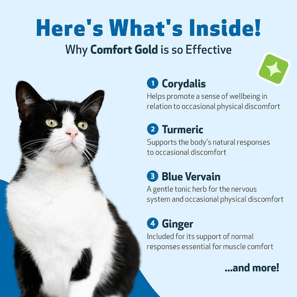 Comfort Gold for Occasional Physical Discomfort in Cats - Cat Supplements & Vitamins 7