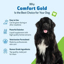 Comfort Gold for Occasional Physical Discomfort in Dogs 4-oz - Dog Vitamins & Supplements 6