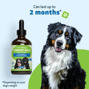 Comfort Gold for Occasional Physical Discomfort in Dogs 4-oz - Dog Vitamins & Supplements 8