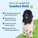 Comfort Gold for Occasional Physical Discomfort in Dogs 4-oz - Dog Vitamins & Supplements 3