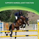 Helps maintain healthy joint function and flexibility- Comfort Quik With Hemp