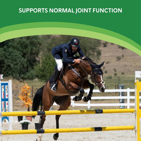 Helps maintain healthy joint function and flexibility- Comfort Quik With Hemp