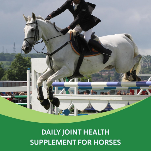 Hemp-Infused Herbal Joint Support for Horses