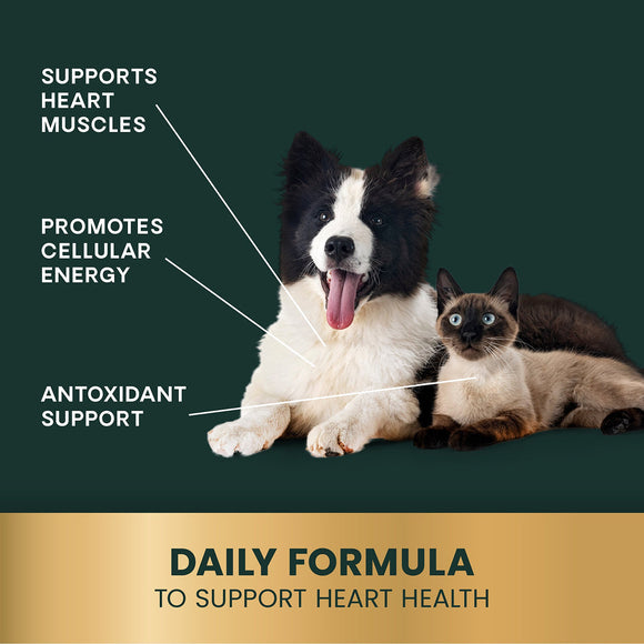 CoQ10 Healthy Heart Capsules for Dogs and Cats