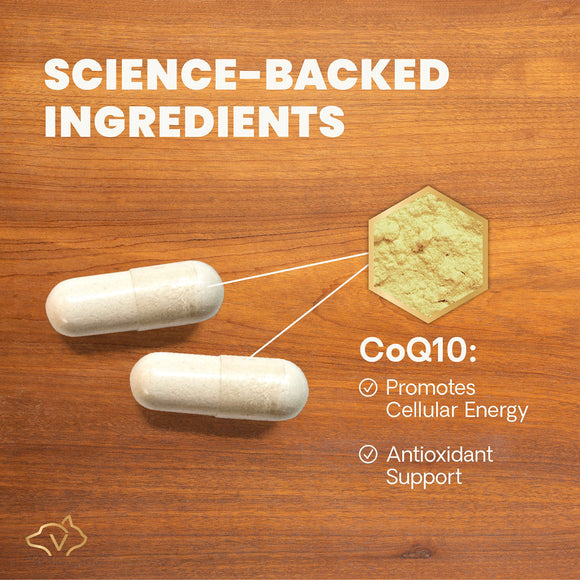CoQ10 Healthy Heart Capsules for Dogs and Cats