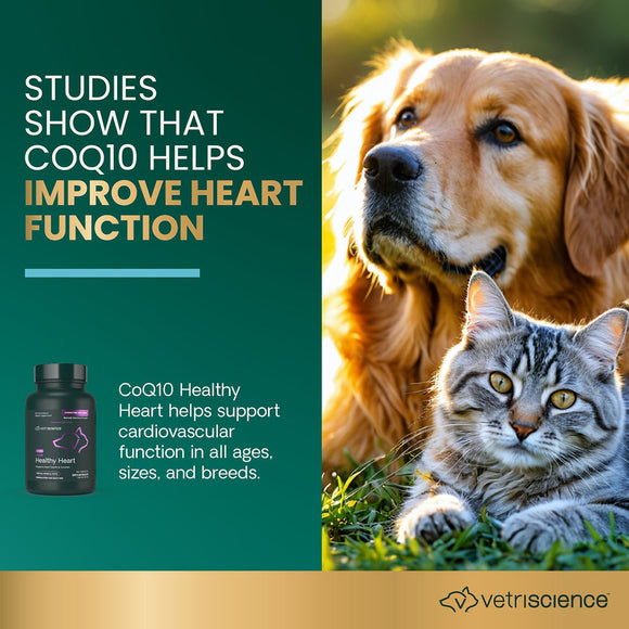 CoQ10 Healthy Heart Capsules for Dogs and Cats