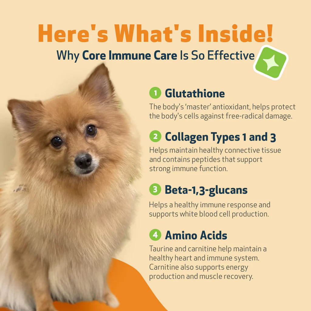 CORE IMMUNE CARE Daily Antioxidant and Nutritional Supplement for Dogs and Cats (3.7 oz) CORE IMMUNE CARE Daily Antioxidant and Nutritional Supplement for Dogs and Cats (3.7 oz)