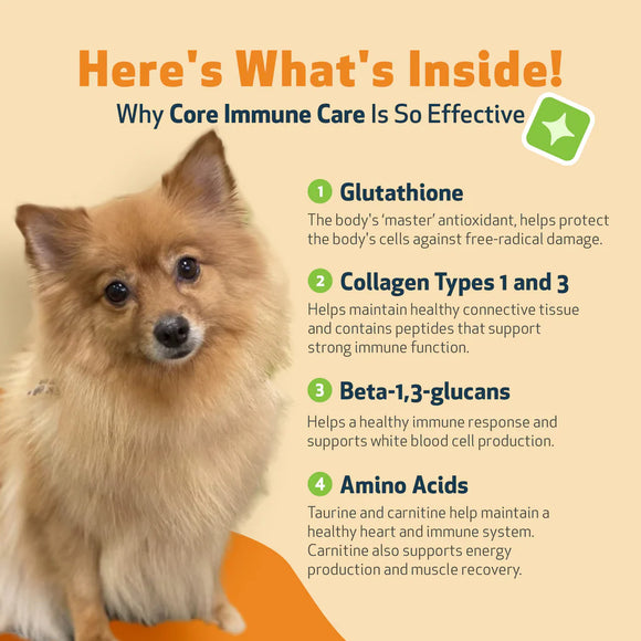 CORE IMMUNE CARE Daily Antioxidant and Nutritional Supplement for Dogs and Cats (3.7 oz) - Dog & Cat Supplements &