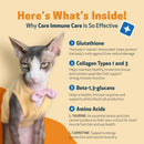 CORE IMMUNE CARE Daily Antioxidant and Nutritional Supplement for Dogs and Cats (3.7 oz) - Dog & Cat Supplements &