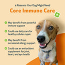 CORE IMMUNE CARE Daily Antioxidant and Nutritional Supplement for Dogs and Cats (3.7 oz) - Dog & Cat Supplements &