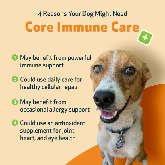 CORE IMMUNE CARE Daily Antioxidant and Nutritional Supplement for Dogs and Cats (3.7 oz) - Dog & Cat Supplements &