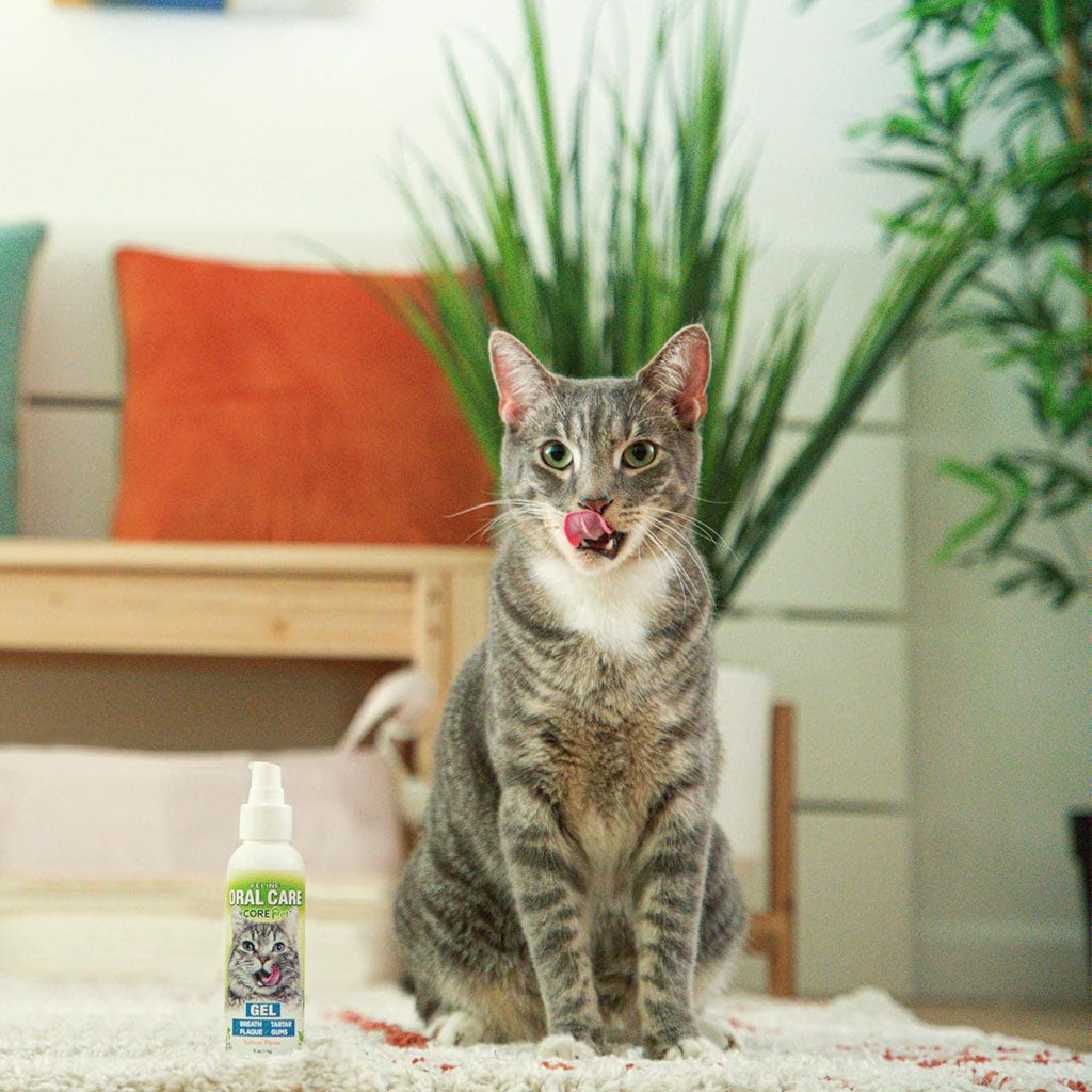 Buy Oral Care Cat Dental Gel by Core Pet - Salmon Flavor