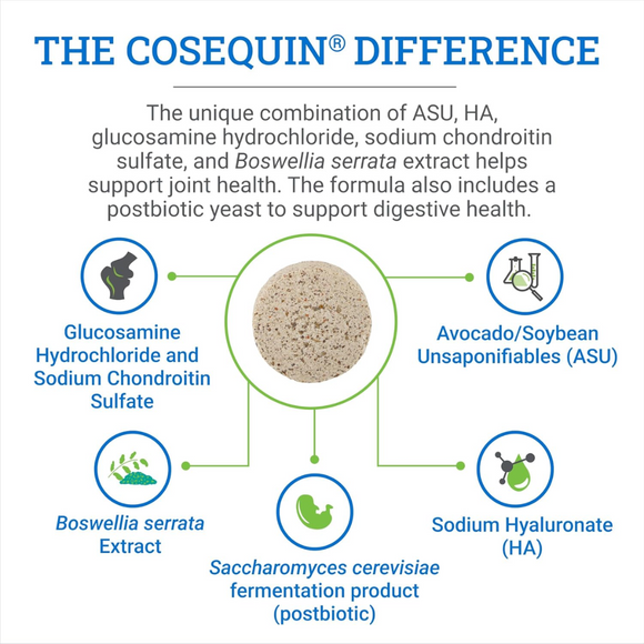 Nutramax Cosequin ASU Joint & Digestive Health Tab for Horses - The Cosequin Difference