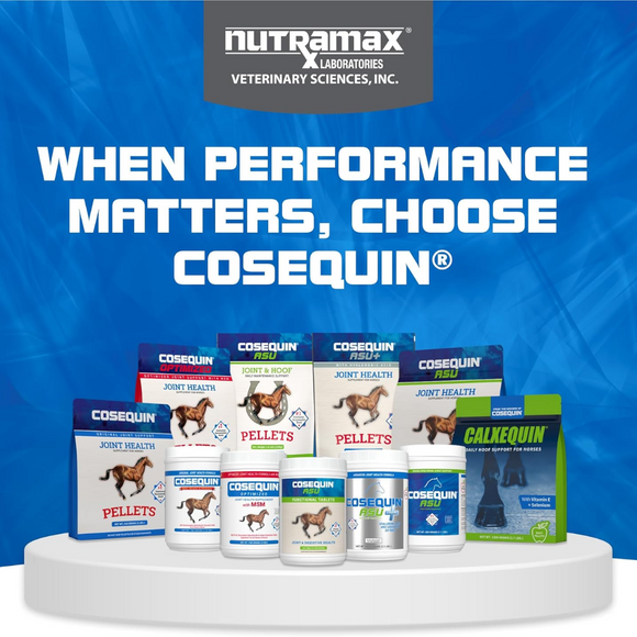 Nutramax Performance Supplement Horses - Cosequin