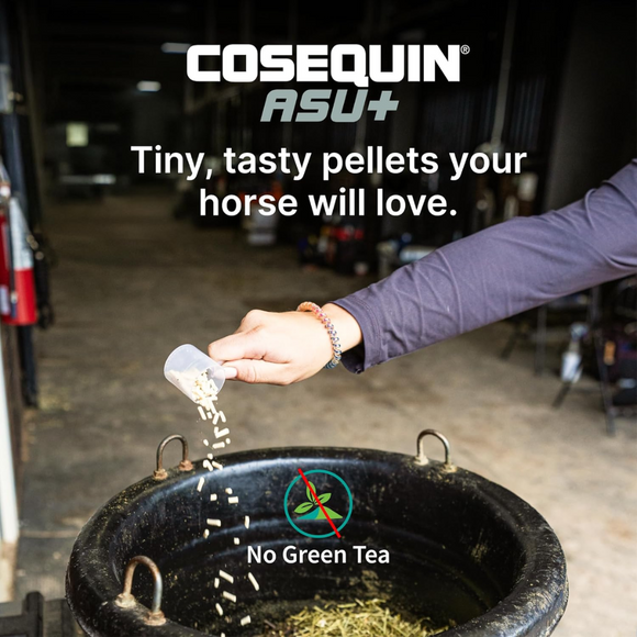 Nutramax Cosequin ASU Plus Joint Supplement Pellets Horses - Tiny and Tasty Pellets, your dogs will love