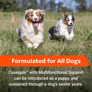 Nutramax Cosequin Health Supplements for Dogs