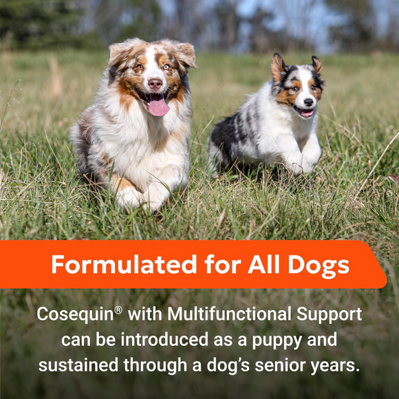 Nutramax Cosequin Health Supplements for Dogs