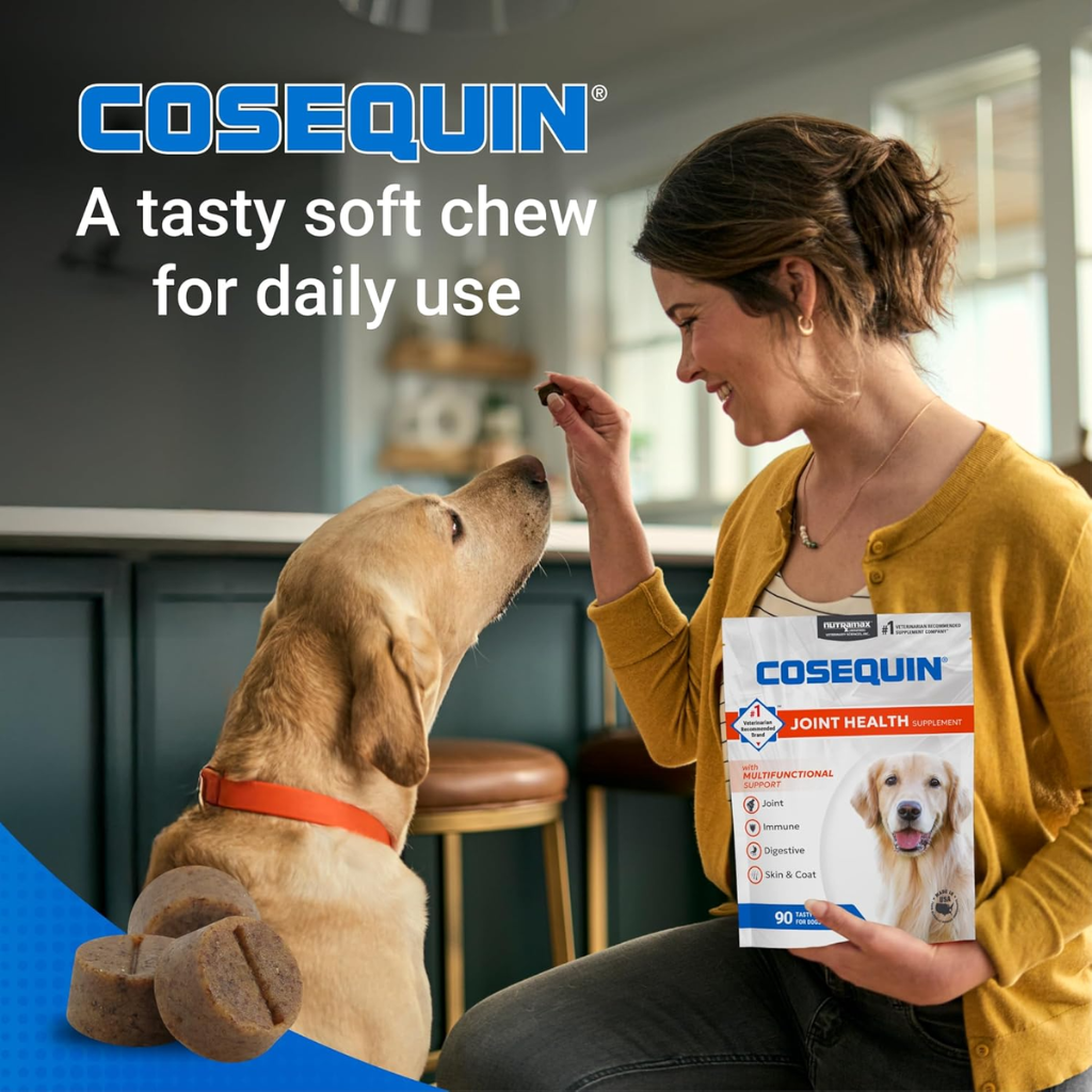 Nutramax Cosequin Joint Health Supplement Soft Chews for Dogs