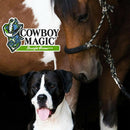 Cowboy Magic Rosewater Shampoo For Pets - Pet Grooming 5