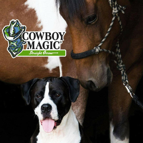 Cowboy Magic Rosewater Shampoo For Pets - Pet Grooming 5