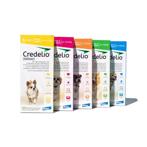 Credelio Chewable Tablet for Dogs (Lotilaner) - Pet Medicine 1