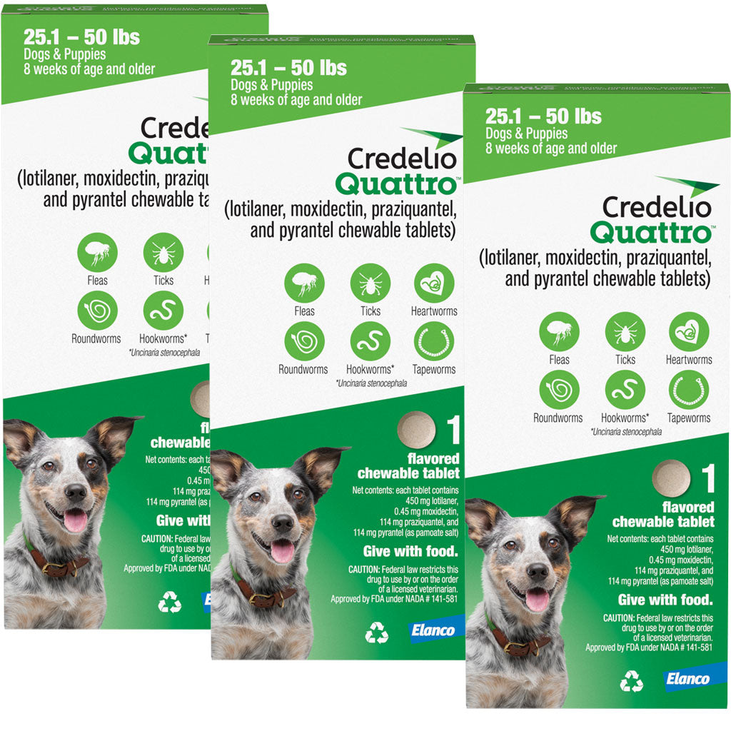 Credelio Quattro 6-in-1 Protection Chewable Tablets for Dogs