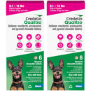 Credelio Quattro Flavored Chewable Tablets for Dogs - 6.1 to 12 lbs (Pink) / 12 Chewable Tablets (12 month supply)