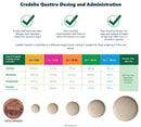 Credelio Quattro Flavored Chewable Tablets for Dogs - Pet Medicine 3