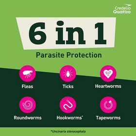 Credelio Quattro Flavored Chewable Tablets for Dogs - 0