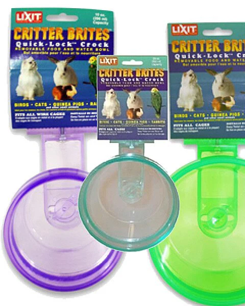 Lixit Quick Lock Critter Brite Crock for Small Animals -Assorted Colors