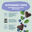 Shameless Pets Blueberried Treasure Soft Baked Treats For Dogs (6 oz)-4