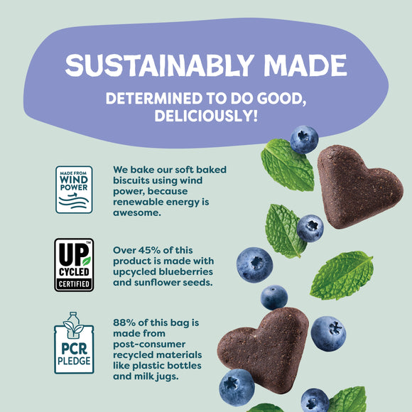 Shameless Pets Blueberried Treasure Soft Baked Treats For Dogs (6 oz)