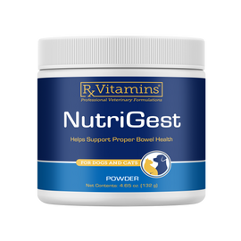 Rx Vitamins Nutrigest Powder Bowel Health Supplement For Dogs & Cats (132 g) - Dog & Cat Supplements & Vitamins 1