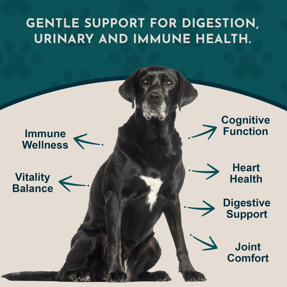Animal Essentials Senior Support Herbal Tonic to Maintain Optimal Health for Dogs & Cats