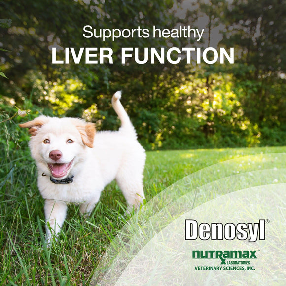Nutramax Denosyl Liver and Brain Health Supplement for Medium Dogs, With S-Adenosylmethionine (SAMe)