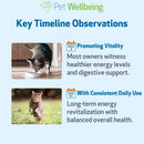 Dandelion Root Digestive & Liver Support for Cats 2-oz - Cat Digestive & Probiotics Supplements 9