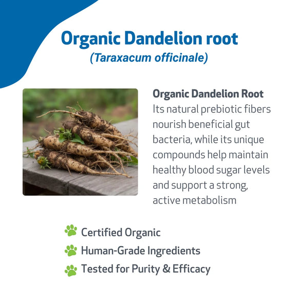 Dandelion Root Digestive & Liver Support for Cats 2-oz - Cat Digestive & Probiotics Supplements 4