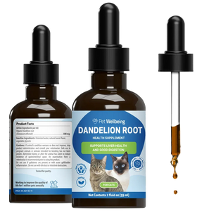 Dandelion Root Digestive & Liver Support for Cats 2-oz - Cat Digestive & Probiotics Supplements 1