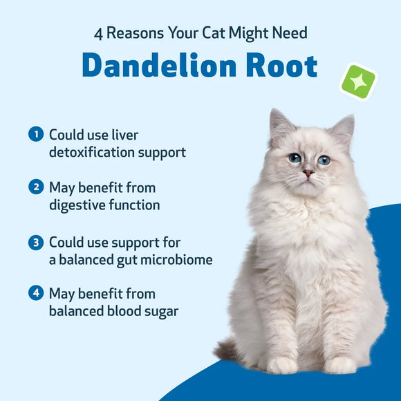 Dandelion Root Digestive & Liver Support for Cats 2-oz - Cat Digestive & Probiotics Supplements 10