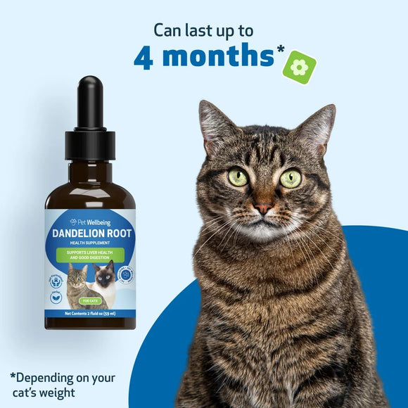 Dandelion Root Digestive & Liver Support for Cats 2-oz - Cat Digestive & Probiotics Supplements 11